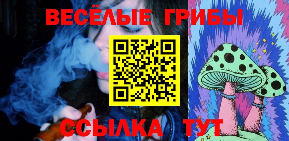Псилоцибиновые грибы Magic Shrooms  Псилоцибиновые грибы прущие грибы  Конаково  Вход с VPN 