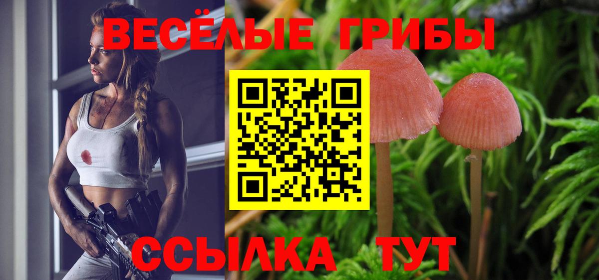 Галлюциногенные грибы ЛСД Конаково